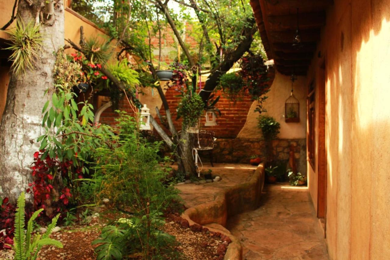 Hospedaje Boutique Paz Creativa San Cristobal de las Casas Ngoại thất bức ảnh
